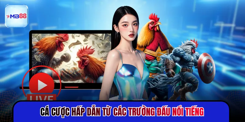 Cá cược hấp dẫn từ các trường đấu nổi tiếng