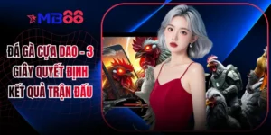 Đá Gà Cựa Dao - 3 Giây Quyết Định Kết Quả Trận Đấu