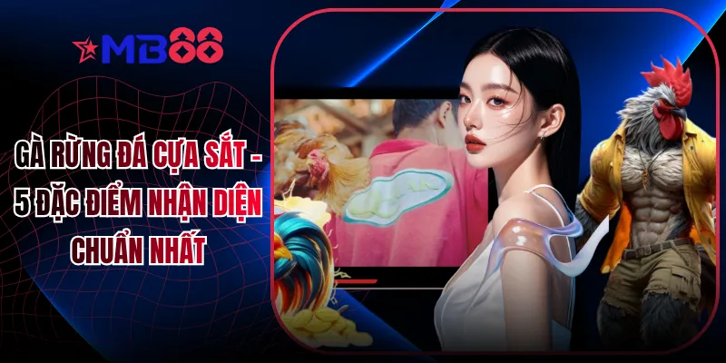 Gà Rừng Đá Cựa Sắt - 5 Đặc Điểm Nhận Diện Chuẩn Nhất