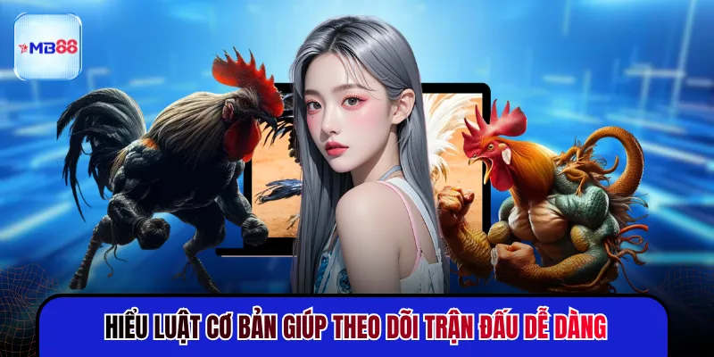 Hiểu luật cơ bản giúp theo dõi trận đấu dễ dàng