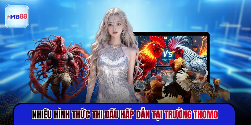 Nhiều hình thức thi đấu hấp dẫn tại trường Thomo