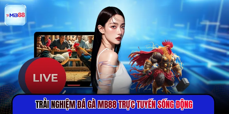 Trải nghiệm đá gà MB88 trực tuyến sống động