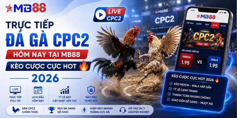 Trực tiếp đá gà CPC2 hôm nay tại mb88 - Kèo cược cực hot 2026