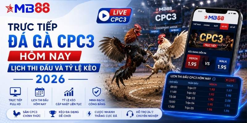 Trực tiếp đá gà CPC3 hôm nay: Lịch thi đấu và tỷ lệ kèo 2026