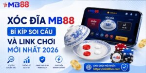 Xóc đĩa mb88: Bí kíp soi cầu và link chơi mới nhất 2026